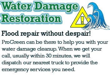 Water Damage Restoration Toronto ProGreen can be there to help your with your water damage cleanup. When we get your call, usually within 30 minutes we will dispatch our nearest truck to provide the emergency services you need.